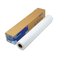Epson S041894 Premium rouleau de papier photo glacé 914 mm (36 pouces) x 30,5 m (250 g/m²) 151241