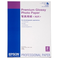 Epson S042091 Premium Glossy papier photo 255 g/m² A2 (25 feuilles) 153042