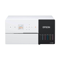 Epson SureLab SL-D500 imprimante photo avec wifi 831989