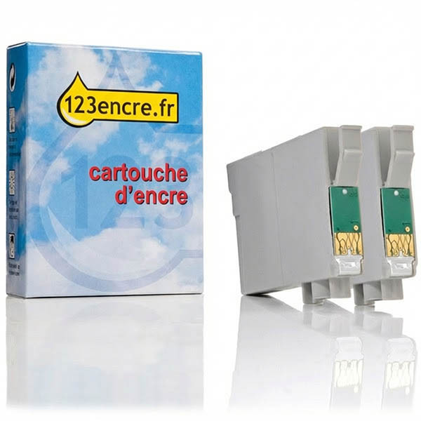 Epson T0870 finition brillante (optimiseur de brillance) 2 pièces (marque 123encre) 023301 - 1