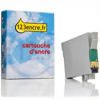 Epson T0871 cartouche d'encre photo noire (marque 123encre)