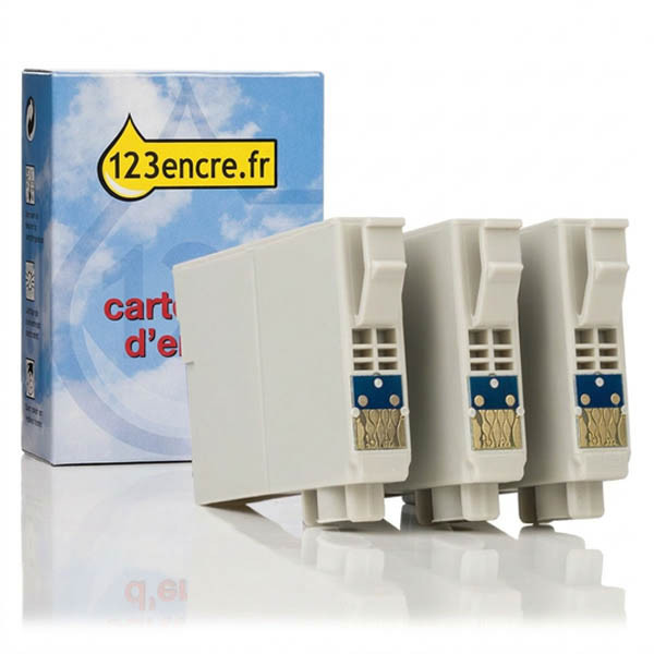 Epson T1006 multipack 3 cartouches d'encre (marque 123encre) 110800 - 1