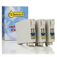 Epson T1006 multipack 3 cartouches d'encre (marque 123encre)