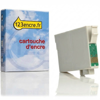 Epson T1291 cartouche d'encre noire haute capacité (marque 123encre)
