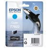 Epson T7602 cartouche d&#039;encre cyan (d&#039;origine) 026724