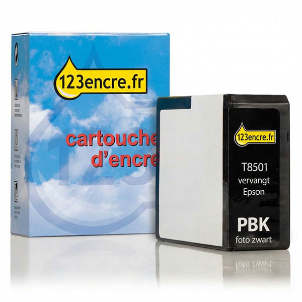 Epson T8501 cartouche (marque 123encre) - noir photo 026775 - 1