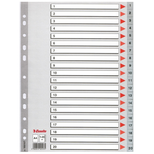 Esselte 100107 intercalaires en plastique A4 avec 20 onglets (11 trous) - gris 203816 - 1