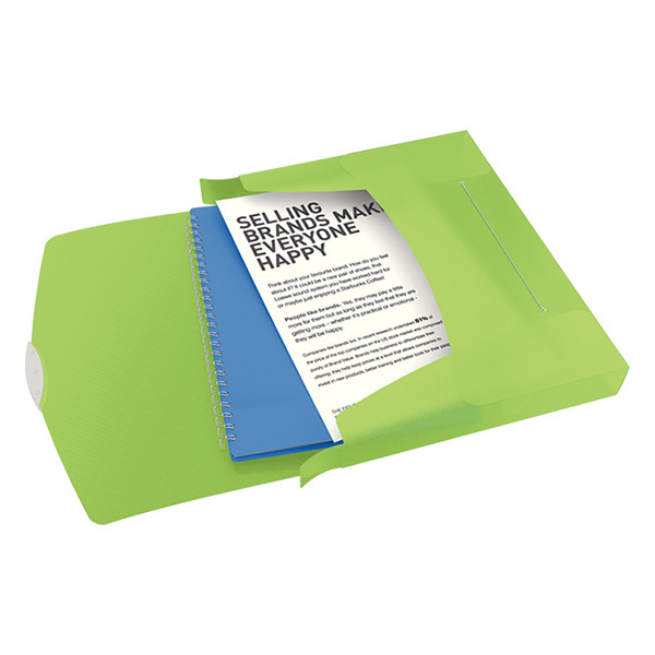 Esselte 6240 Vivida boîte de classement transparente 40 mm (380 feuilles) - vert 203221 - 2