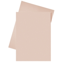 Esselte chemise en papier A4 (250 chemises) - rose 203588