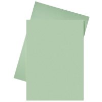 Esselte chemise en papier A4 (250 chemises) - vert 203586