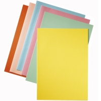 Esselte chemises en papier assorties A4 (50 chemises) 203592