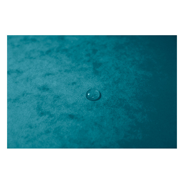 Exacompta farde à élastique en carton lustré A4 - bleu pacifique 404159 - 5