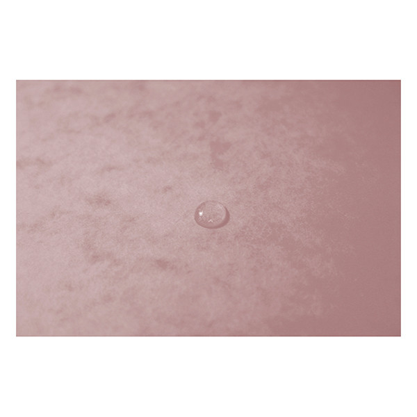 Exacompta farde à élastique en carton lustré A4 - rose tendre 404161 - 5