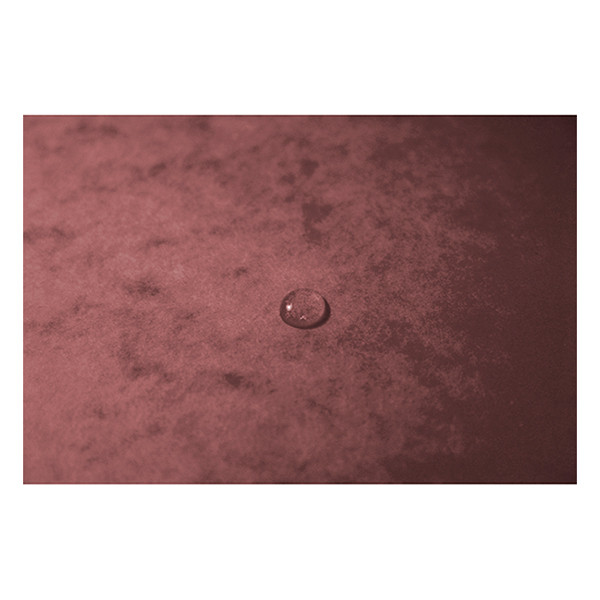 Exacompta farde à élastique en carton lustré A4 - vieux rose 404162 - 5