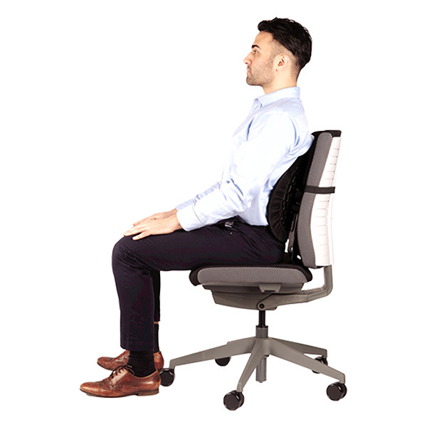 Fellowes Back Angel support dorsal 215031 - 5