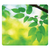 Fellowes Earth tapis de souris recyclé feuilles 213243 - 1