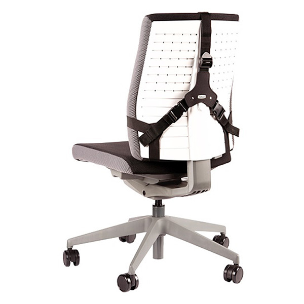 Fellowes Pro Series support dorsal 213066 - 4