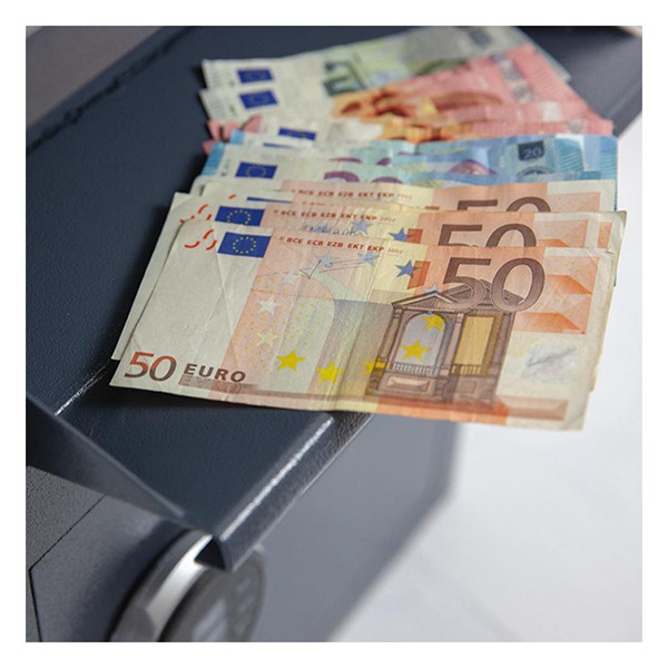 Filex DS1 elo coffre-fort 224568 - 3