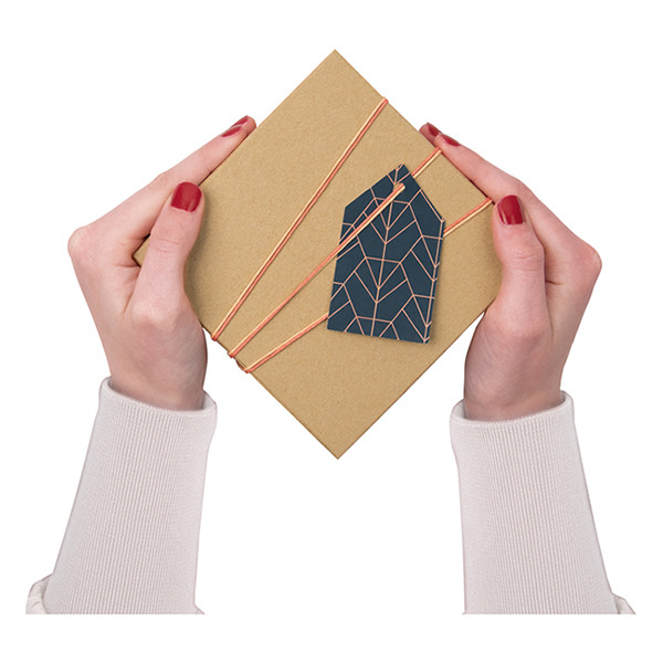 Folia boîte en carton (12 pièces) - naturel 222295 - 3