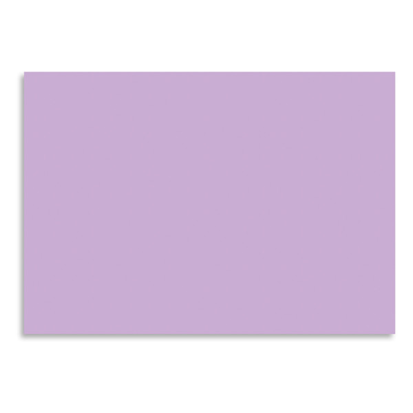 Folia carton photo 50 x 70 cm lilas (25 feuilles) 222028 - 1