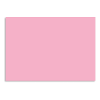 Folia carton photo 50 x 70 cm rose (25 feuilles) 222022