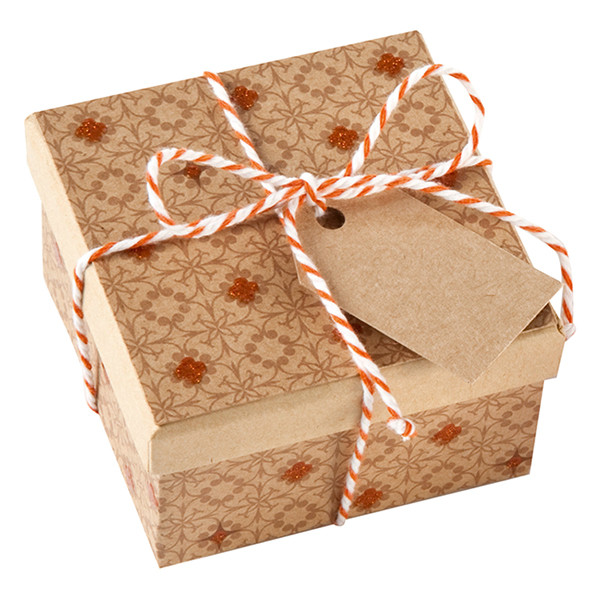 Folia cordon classique (20 mètres) 222312 - 2