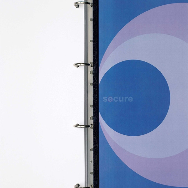 GBC bande de classement PVC 21 trous A4 (100 pièces) - noir 207855 - 1