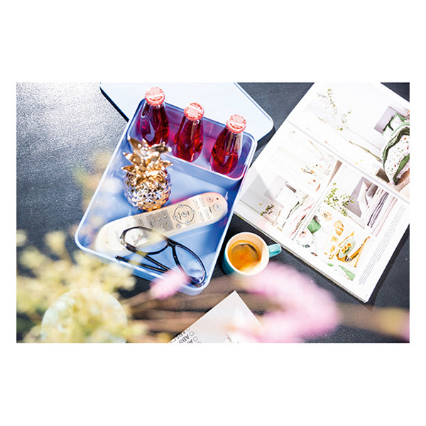 HAN Allison box organisateur intelligent avec couvercle - bleu ciel 218067 - 3