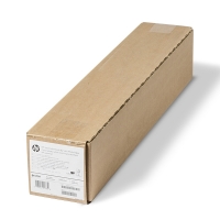 HP Q6579A rouleau de papier semi-brillant universel à séchage instantané 610 mm (24 pouces) x 30,5 m (200 g/m²) 151074