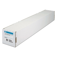 HP Q8840A rouleau de papier photo satiné professionnel 1118 mm (44 pouces) x 15,2 m (300 g/m²) 151107