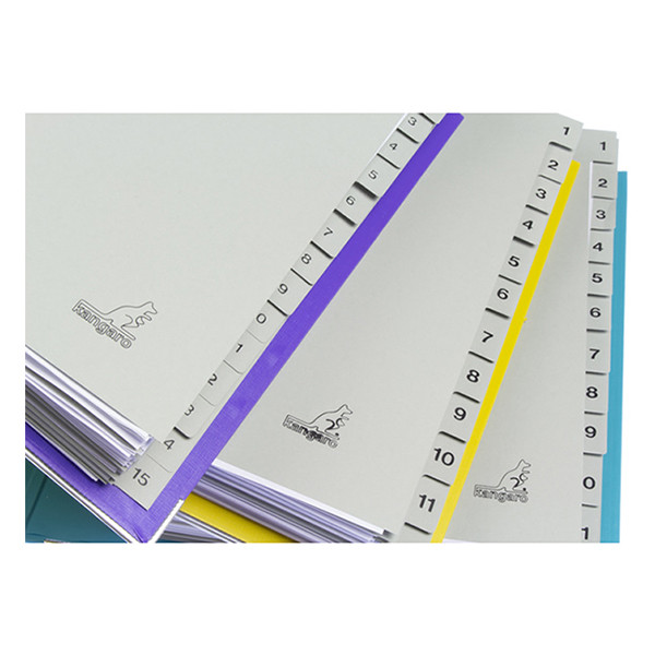 Kangaro ECO intercalaires A4 en carton avec 12 onglets (23 trous) 056784 - 5