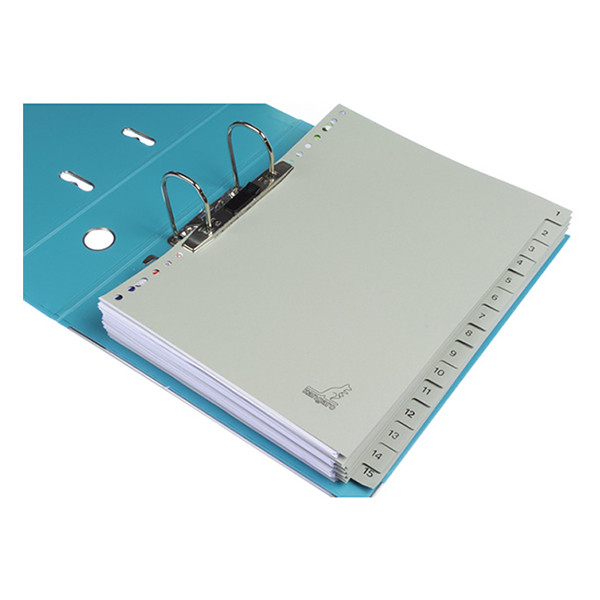 Kangaro ECO intercalaires A4 en carton avec 15 onglets (23 trous) 056790 - 4