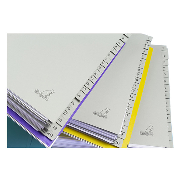 Kangaro ECO intercalaires A4 en carton avec 15 onglets (23 trous) 056790 - 5