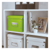 Leitz 6109 boîte de rangement cubique moyenne - vert 226263 - 2