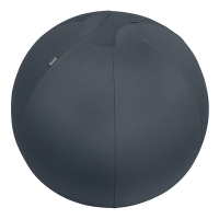 Leitz Ergo Cosy Active ballon d'assise 65 cm - gris foncé 227591
