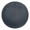Leitz Ergo Cosy Active ballon d'assise 65 cm - gris foncé 227591 - 1