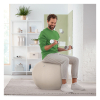 Leitz Ergo ballon d'assise active 55 cm - gris clair 227623 - 4