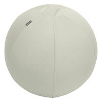 Leitz Ergo ballon d'assise active 65 cm - gris clair 227625
