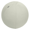 Leitz Ergo ballon d'assise active 65 cm - gris clair 227625 - 1