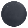 Leitz Ergo ballon d'assise active 65 cm - gris foncé 227626 - 1