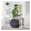 Leitz Ergo ballon d'assise active 65 cm - gris foncé 227626 - 4
