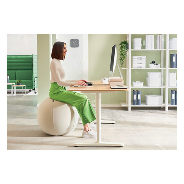 Leitz Ergo ballon d'assise active 75 cm - gris clair 227627 - 5
