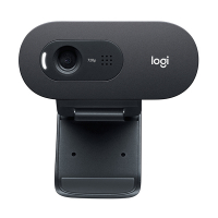 Logitech C505e webcam - noir 828119