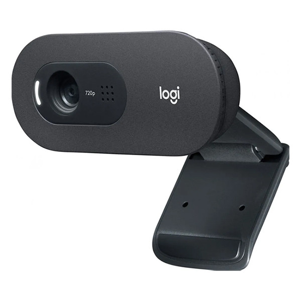 Logitech C505e webcam - noir 828119 - 2