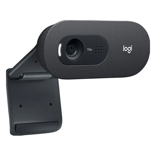 Logitech C505e webcam - noir 828119 - 3