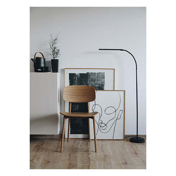 Maul MAULpirro lampadaire LED dimmable - noir 402362 - 4