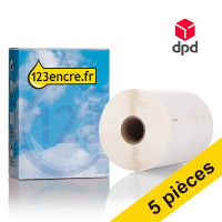 Offre : 5x 123encre LW650XL PRO étiquettes d'expédition DPD extra larges et durables (104 x 159 mm) 653385