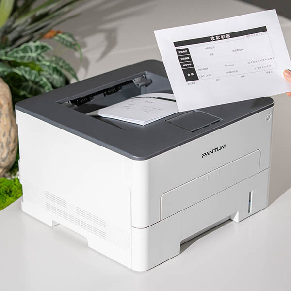 Pantum P3020D imprimante laser A4 noir et  blanc 850204 - 5
