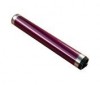 Ricoh A0179590 tambour (d'origine) 074512 - 1