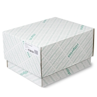 Rillstab 17978 papier listing 1 exemplaire 240 mm x11 pouces 2000 feuilles (80 g/m²) - blanc 068006